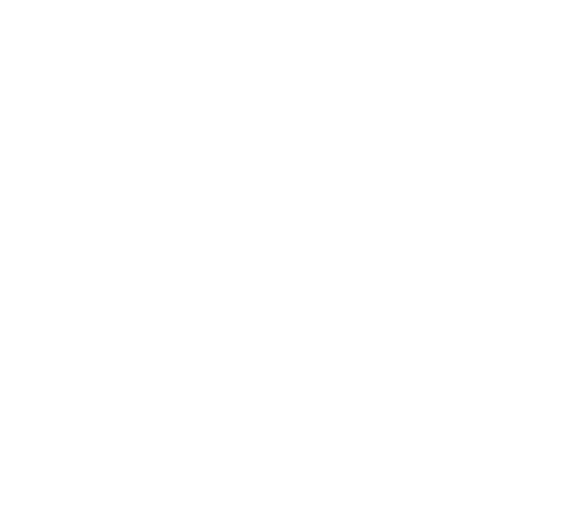 ABNEX INC